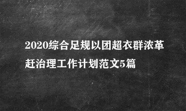 2020综合足规以团超衣群浓革赶治理工作计划范文5篇