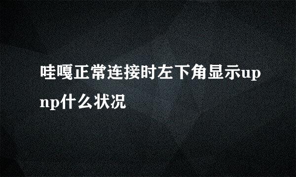 哇嘎正常连接时左下角显示upnp什么状况