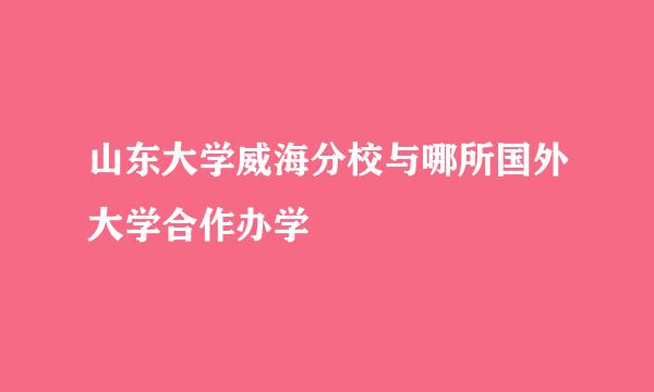 山东大学威海分校与哪所国外大学合作办学