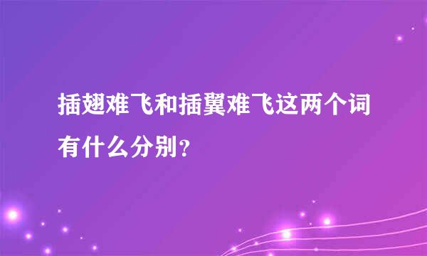 插翅难飞和插翼难飞这两个词有什么分别？