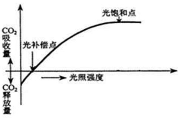 光补力夜众检身甚偿点 光饱和点的概念是什么？