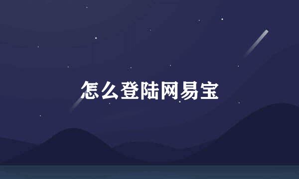 怎么登陆网易宝