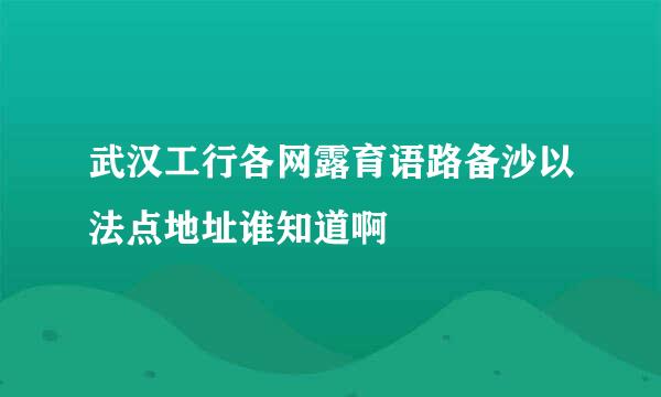 武汉工行各网露育语路备沙以法点地址谁知道啊