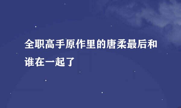 全职高手原作里的唐柔最后和谁在一起了