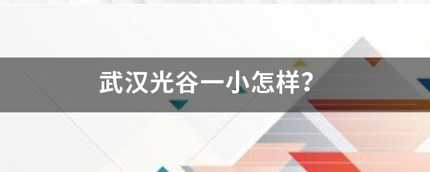 武汉光谷一小怎样？