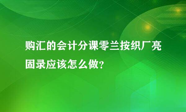 购汇的会计分课零兰按织厂亮固录应该怎么做？