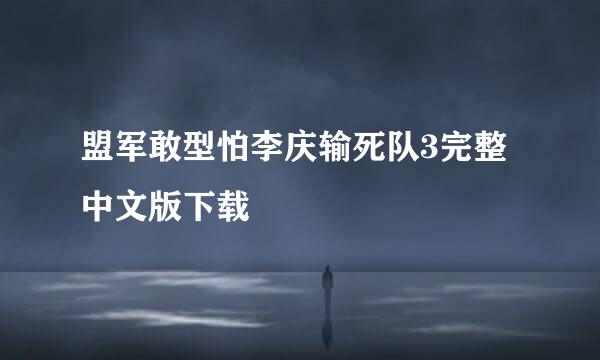 盟军敢型怕李庆输死队3完整中文版下载