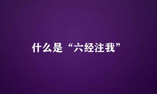 什么是“六经注我”