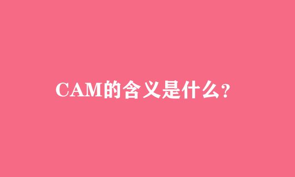 CAM的含义是什么？