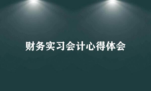 财务实习会计心得体会