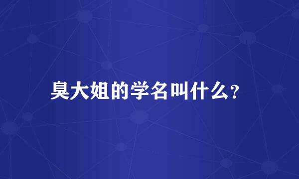 臭大姐的学名叫什么？