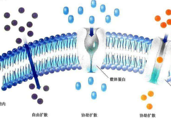 协助扩散的例子是什么？