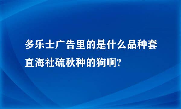 多乐士广告里的是什么品种套直海社硫秋种的狗啊?