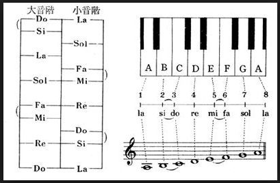 D大调的音阶是什么？