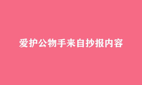 爱护公物手来自抄报内容