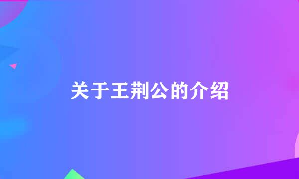 关于王荆公的介绍