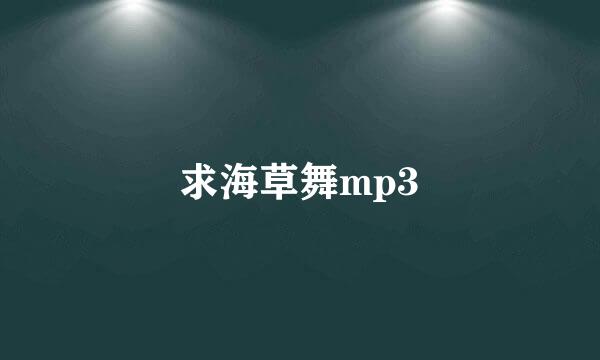 求海草舞mp3