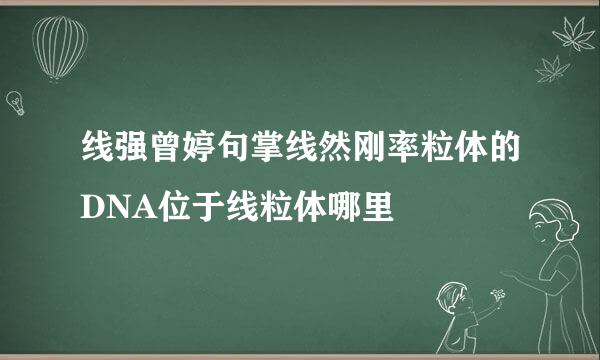 线强曾婷句掌线然刚率粒体的DNA位于线粒体哪里