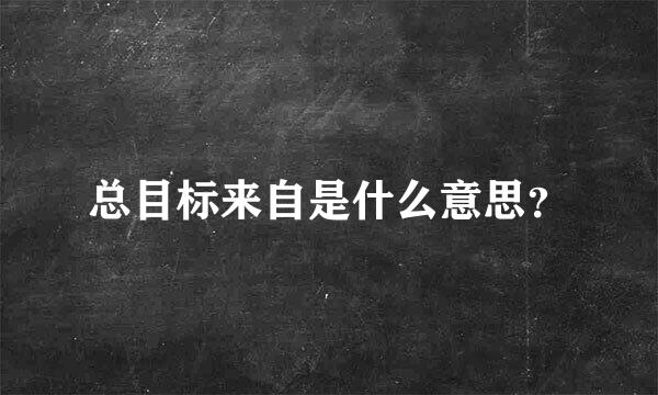 总目标来自是什么意思？