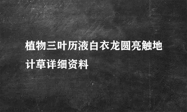 植物三叶历液白衣龙圆亮触地计草详细资料