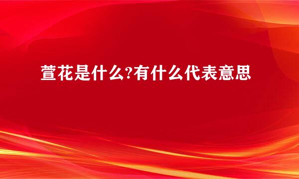 萱花是什么?有什么代表意思