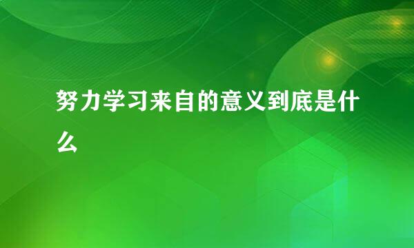 努力学习来自的意义到底是什么