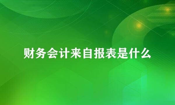 财务会计来自报表是什么