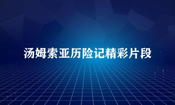 汤姆索亚历险记精彩片段