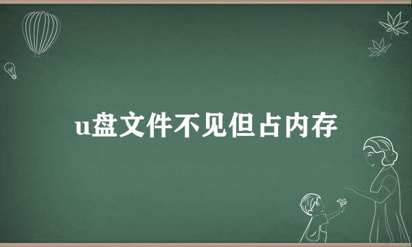 u盘文件不见但占内存