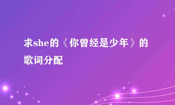 求she的《你曾经是少年》的歌词分配