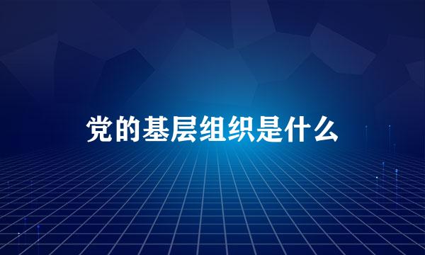 党的基层组织是什么