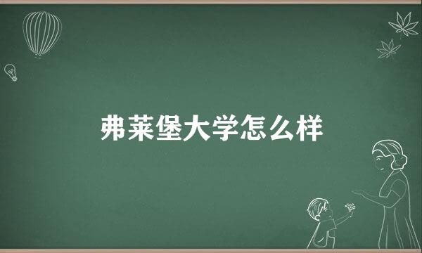 弗莱堡大学怎么样