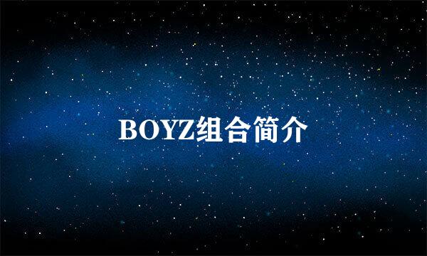 BOYZ组合简介