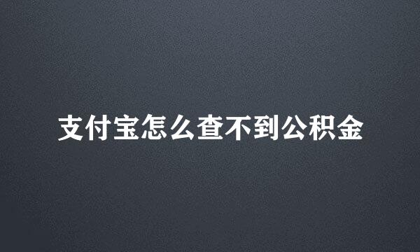 支付宝怎么查不到公积金