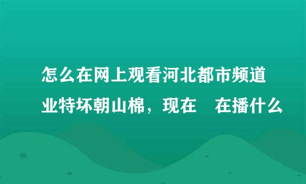 怎么在网上观看河北都市频道业特坏朝山棉，现在 在播什么