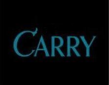 carry全场是什么意思