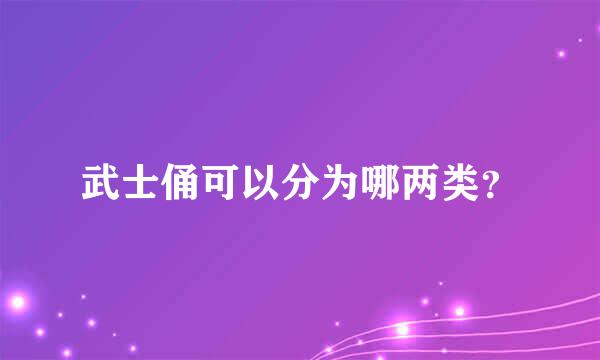 武士俑可以分为哪两类？