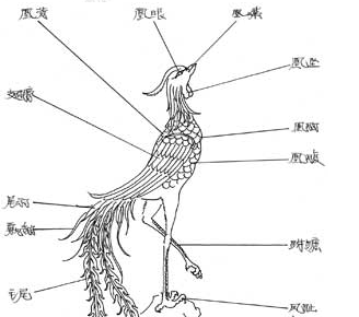 凤与凰的形态区别？有图片吗？