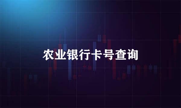 农业银行卡号查询