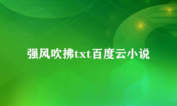 强风吹拂txt百度云小说