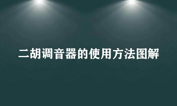 二胡调音器的使用方法图解