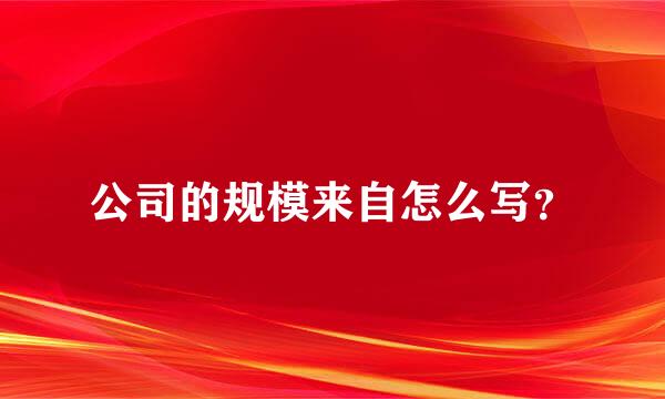 公司的规模来自怎么写？