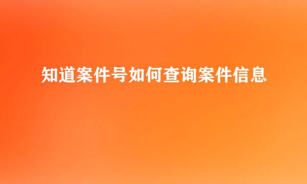 知道案件号如何查询案件信息