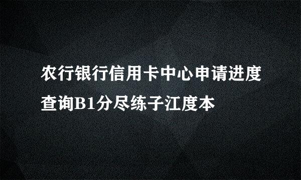 农行银行信用卡中心申请进度查询B1分尽练子江度本