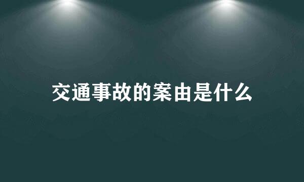 交通事故的案由是什么