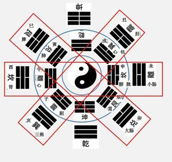 十二时辰与五脏来自六腑的对应关系是什么？