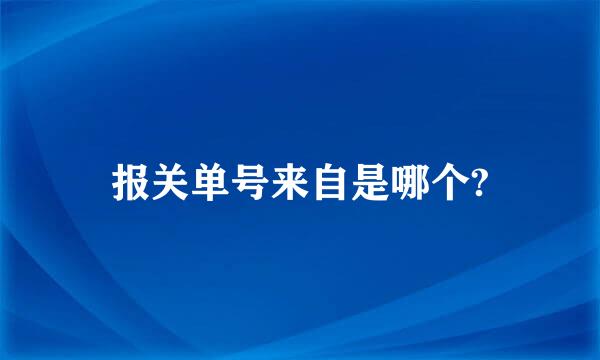 报关单号来自是哪个?