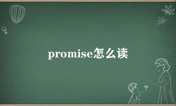 promise怎么读