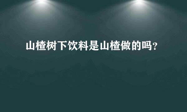 山楂树下饮料是山楂做的吗？