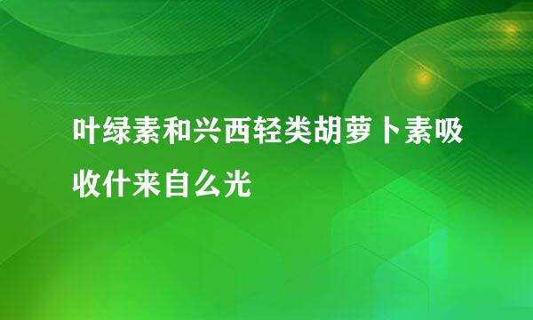 叶绿素和兴西轻类胡萝卜素吸收什来自么光